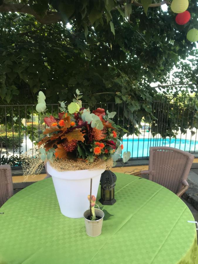 Serra San Biagio Alloggio per agriturismo *